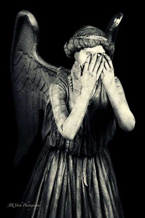 weeping angel