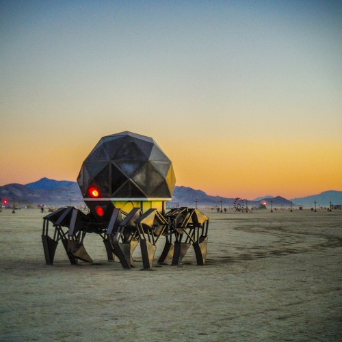 Tinspider on the playa